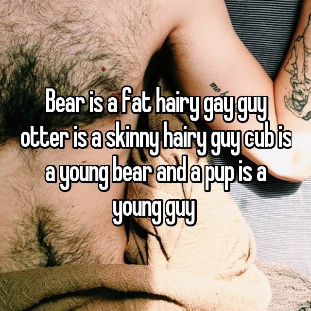 Fat Hairy Gay Bears